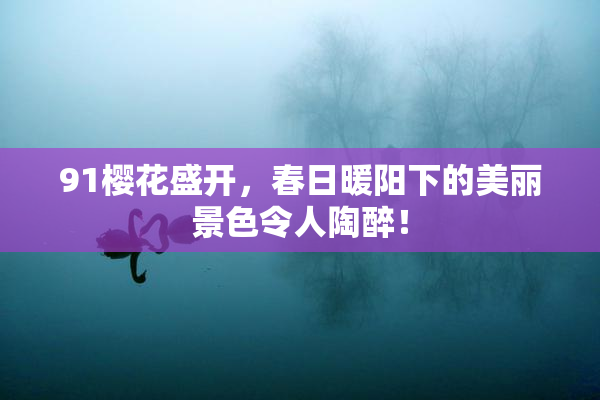 91樱花盛开，春日暖阳下的美丽景色令人陶醉！