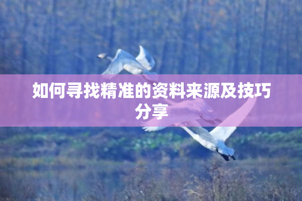 如何寻找精准的资料来源及技巧分享