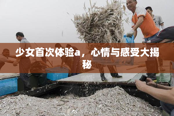 少女首次体验a，心情与感受大揭秘