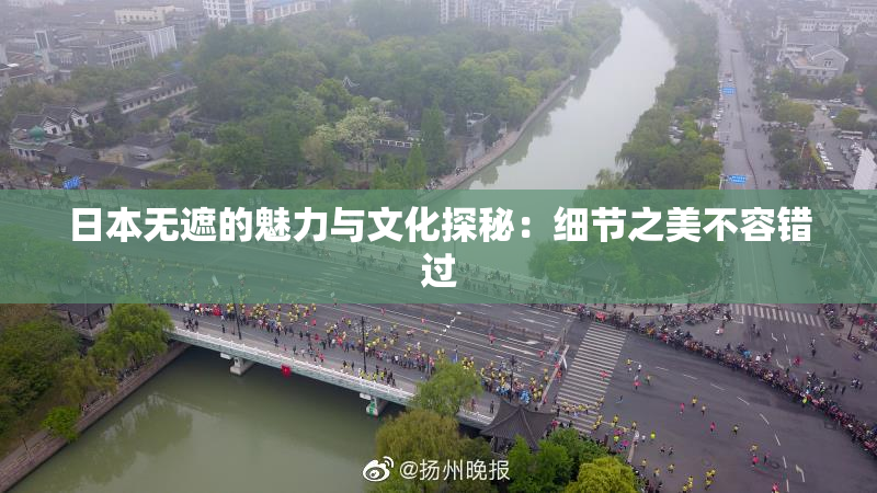 日本无遮的魅力与文化探秘：细节之美不容错过