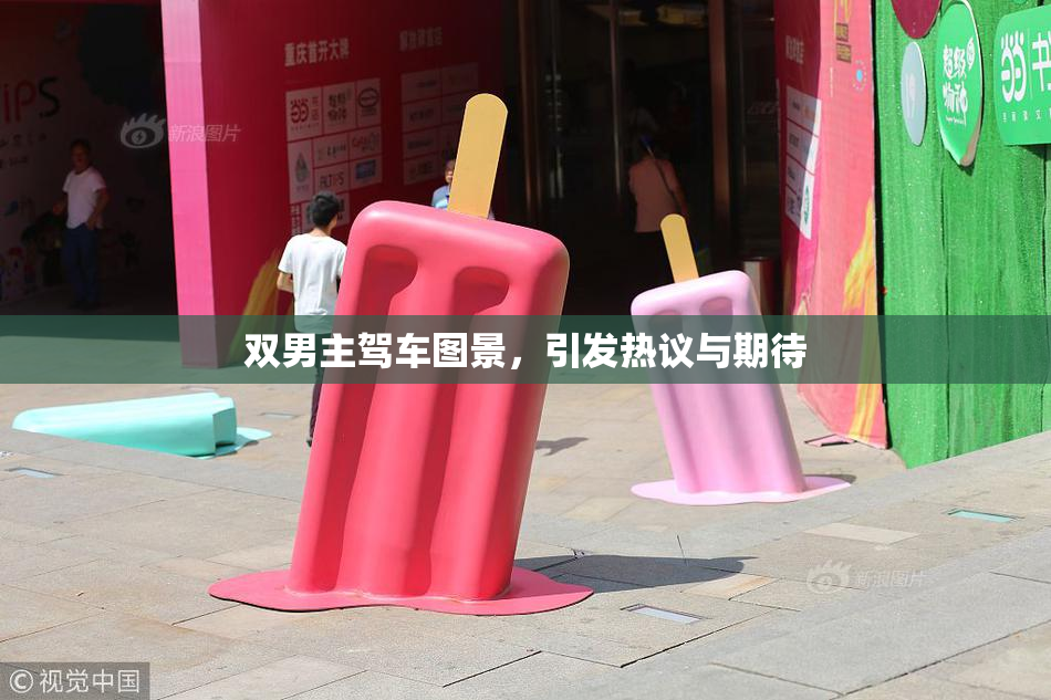 双男主驾车图景，引发热议与期待