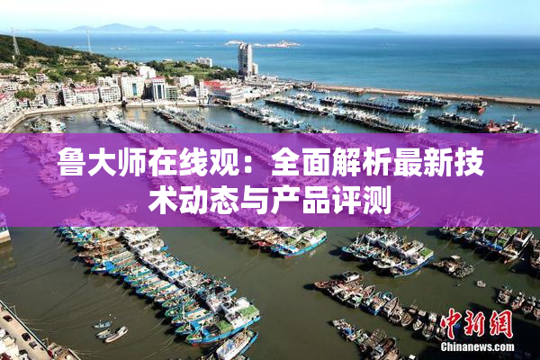 鲁大师在线观：全面解析最新技术动态与产品评测