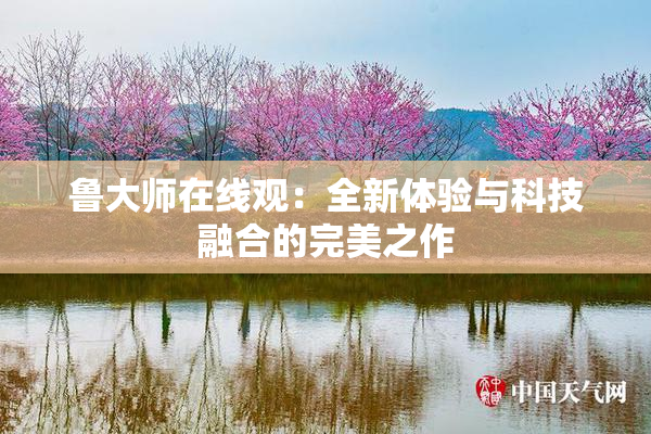 鲁大师在线观：全新体验与科技融合的完美之作