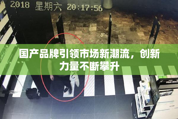 国产品牌引领市场新潮流，创新力量不断攀升