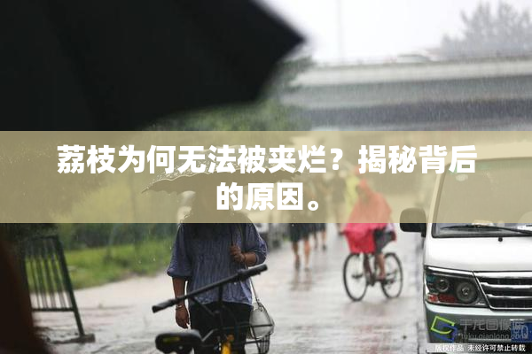 荔枝为何无法被夹烂？揭秘背后的原因。
