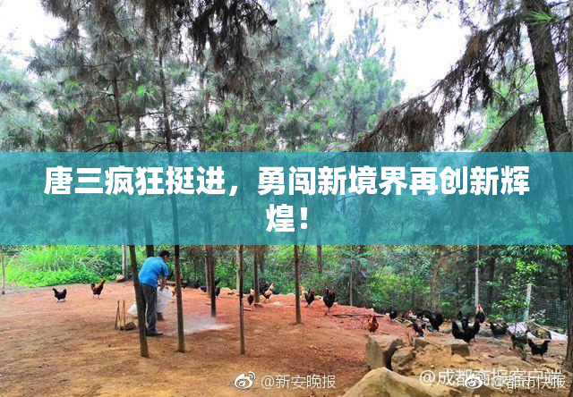 唐三疯狂挺进，勇闯新境界再创新辉煌！