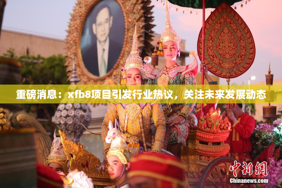 重磅消息：xfb8项目引发行业热议，关注未来发展动态
