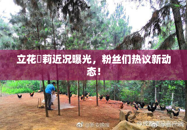 立花瑠莉近况曝光，粉丝们热议新动态！