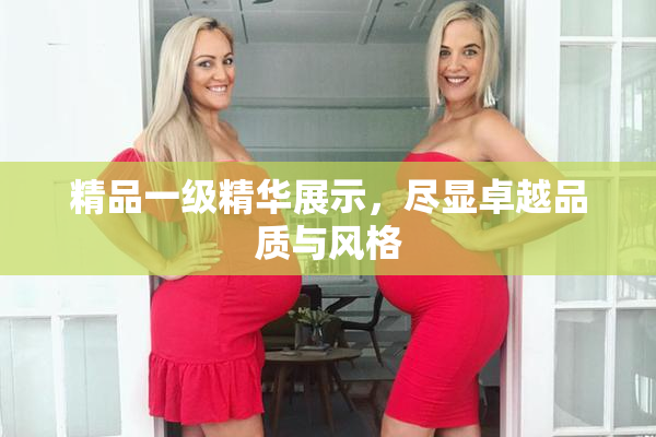 精品一级精华展示，尽显卓越品质与风格