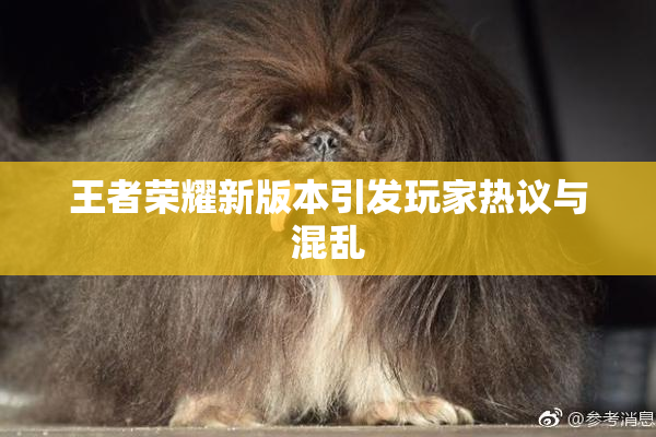 王者荣耀新版本引发玩家热议与混乱