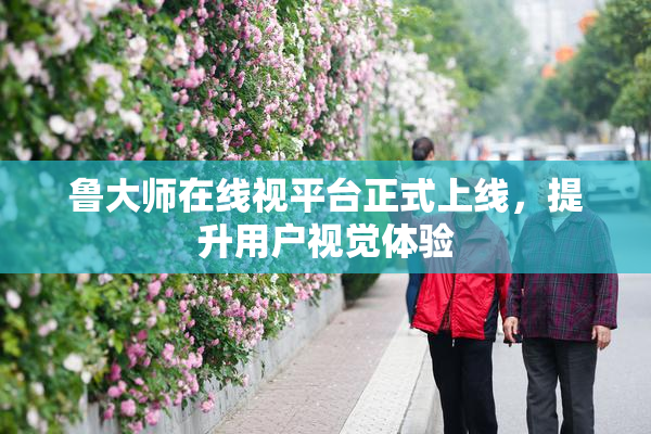 鲁大师在线视平台正式上线，提升用户视觉体验