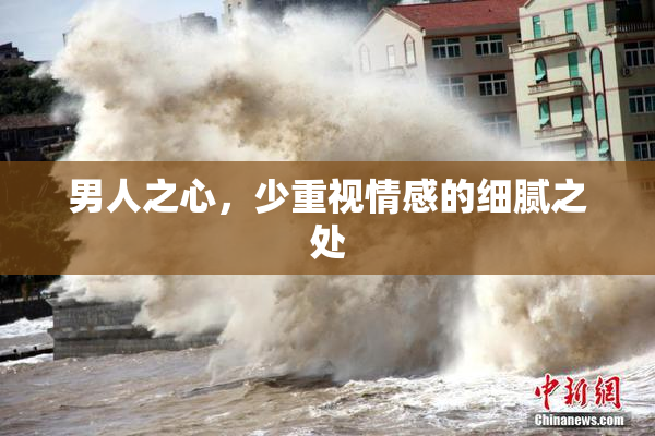 男人之心，少重视情感的细腻之处