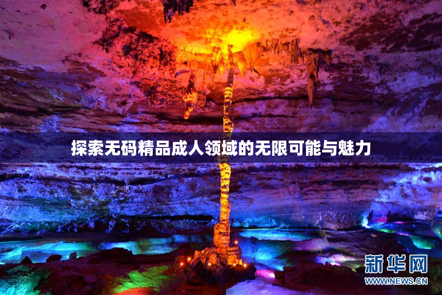 探索无码精品成人领域的无限可能与魅力