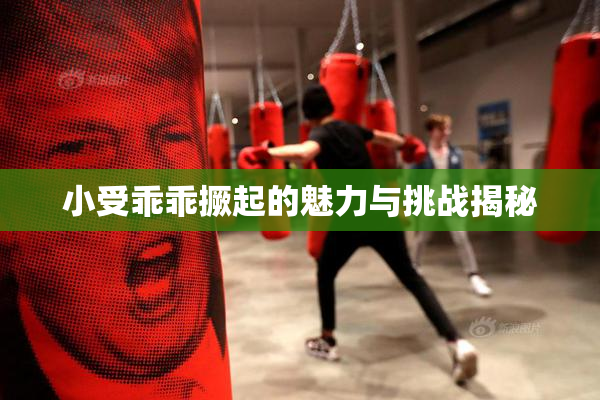 小受乖乖撅起的魅力与挑战揭秘