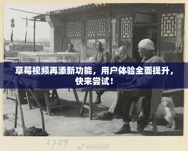 草莓视频再添新功能，用户体验全面提升，快来尝试！