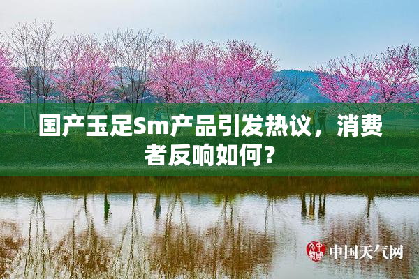 国产玉足Sm产品引发热议，消费者反响如何？