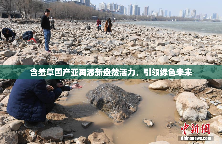 含羞草国产亚再添新盎然活力，引领绿色未来