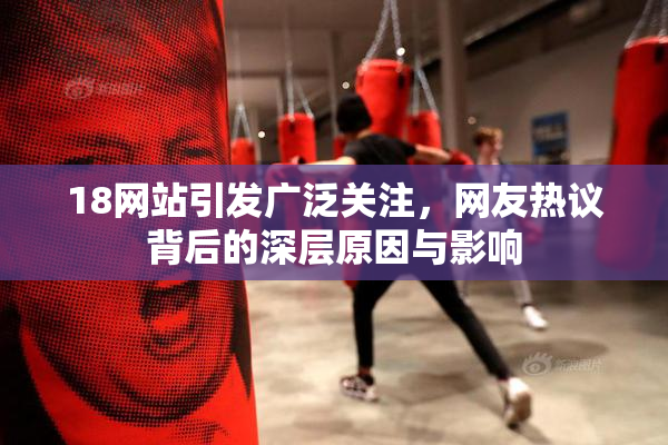 18网站引发广泛关注，网友热议背后的深层原因与影响