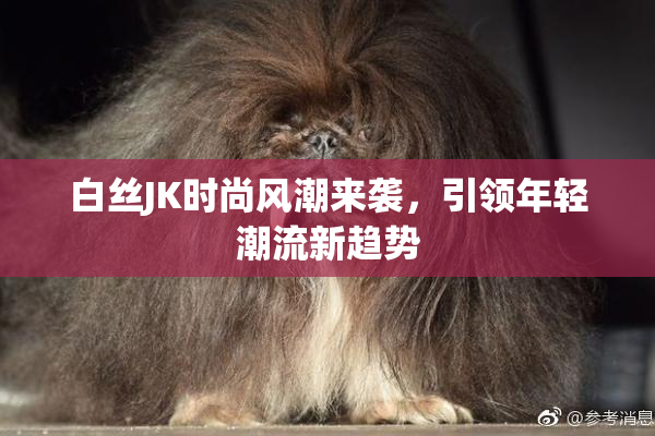白丝JK时尚风潮来袭，引领年轻潮流新趋势