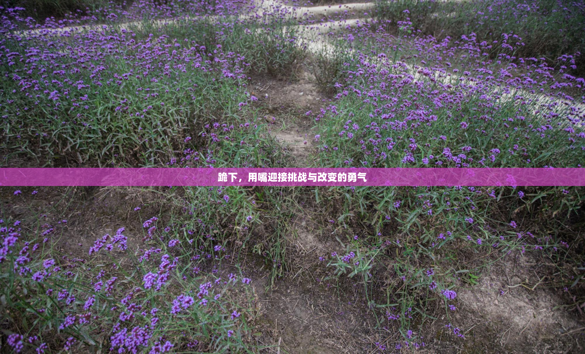 跪下，用嘴迎接挑战与改变的勇气