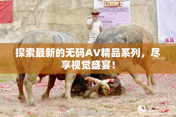 探索最新的无码AV精品系列，尽享视觉盛宴！