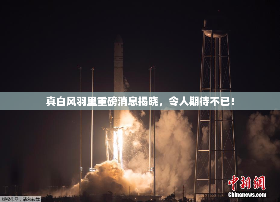 真白风羽里重磅消息揭晓，令人期待不已！