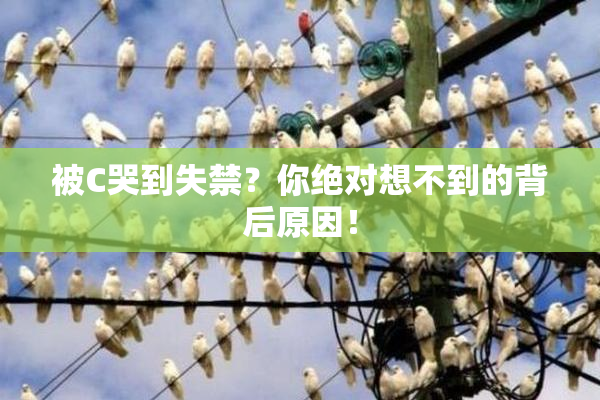 被C哭到失禁？你绝对想不到的背后原因！