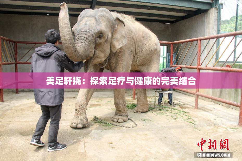 美足轩挠：探索足疗与健康的完美结合