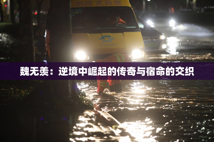 魏无羡：逆境中崛起的传奇与宿命的交织