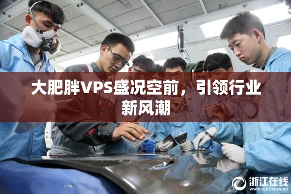 大肥胖VPS盛况空前，引领行业新风潮
