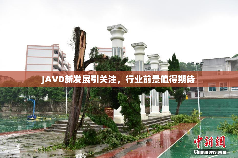 JAVD新发展引关注，行业前景值得期待