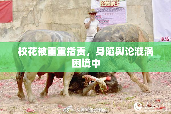 校花被重重指责，身陷舆论漩涡困境中