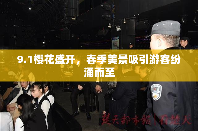 9.1樱花盛开，春季美景吸引游客纷涌而至