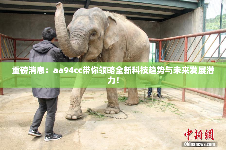 重磅消息：aa94cc带你领略全新科技趋势与未来发展潜力！