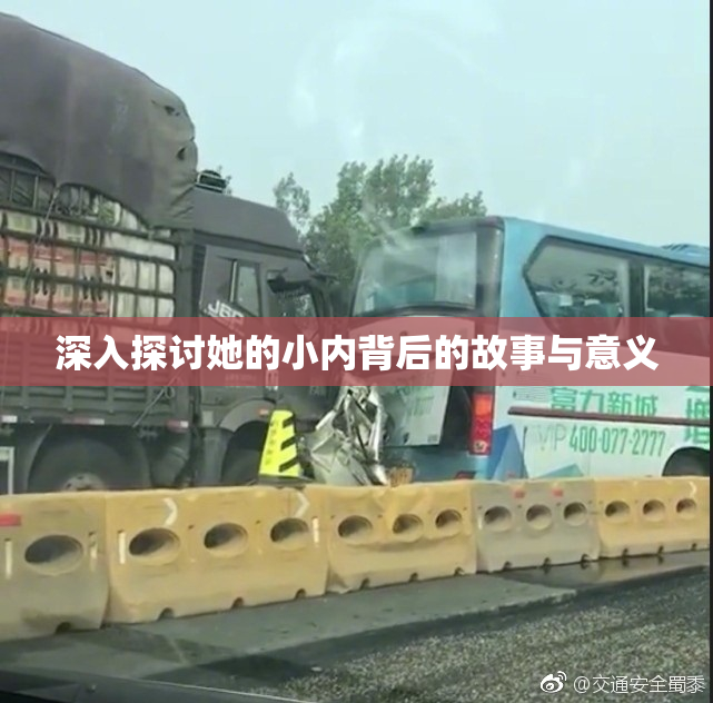 深入探讨她的小内背后的故事与意义