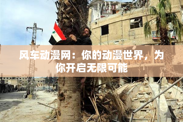 风车动漫网：你的动漫世界，为你开启无限可能