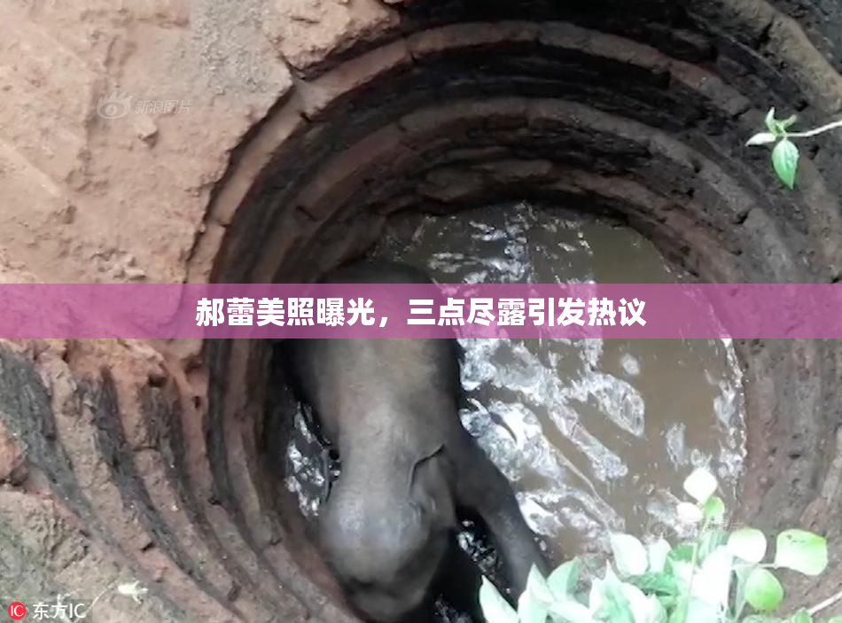 郝蕾美照曝光，三点尽露引发热议
