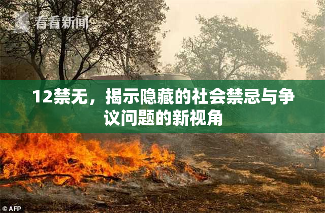 12禁无，揭示隐藏的社会禁忌与争议问题的新视角