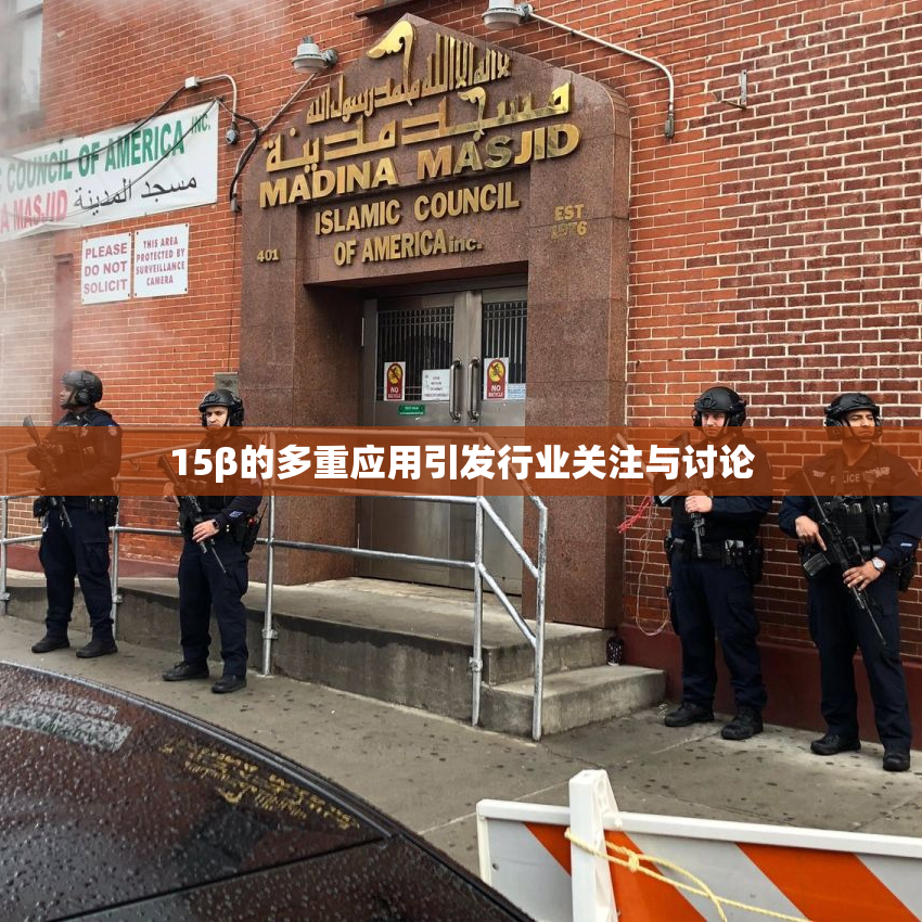 15β的多重应用引发行业关注与讨论