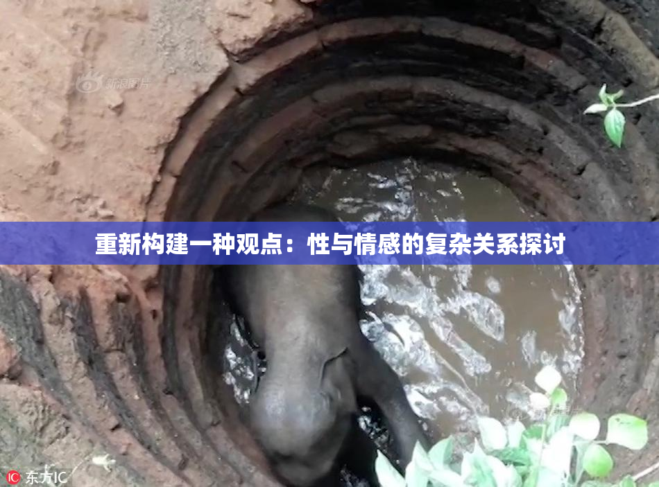 重新构建一种观点：性与情感的复杂关系探讨