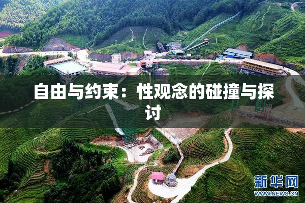 自由与约束：性观念的碰撞与探讨