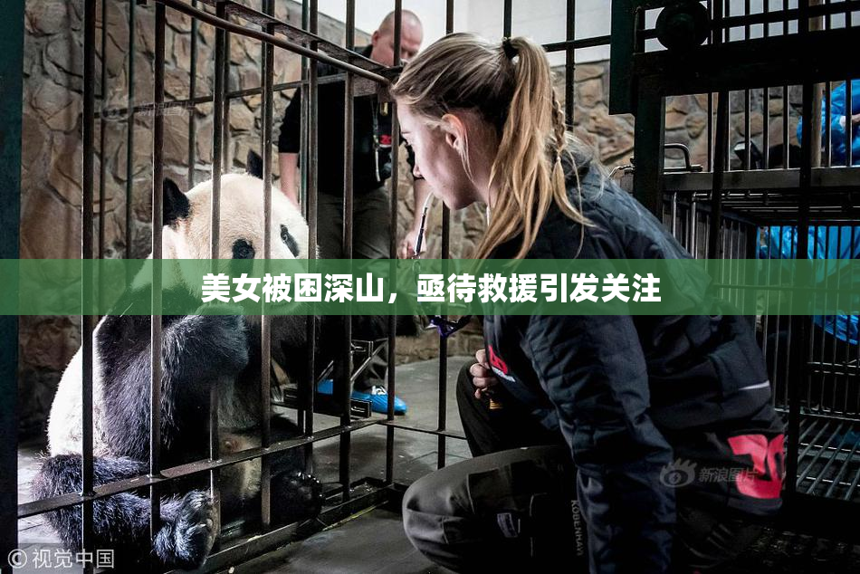 美女被困深山，亟待救援引发关注