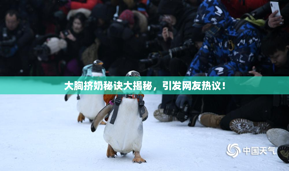 大胸挤奶秘诀大揭秘，引发网友热议！