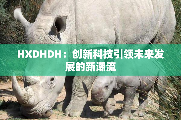 HXDHDH：创新科技引领未来发展的新潮流