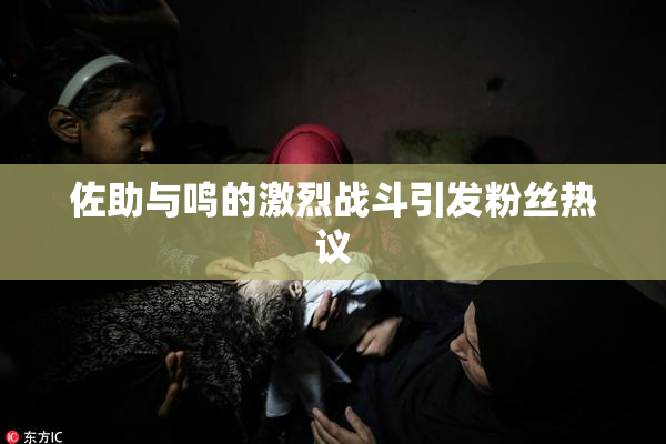 佐助与鸣的激烈战斗引发粉丝热议