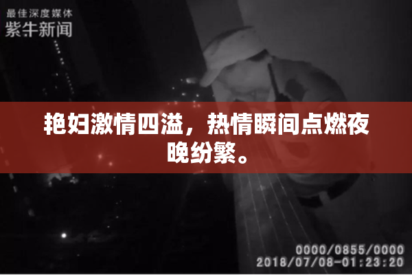 艳妇激情四溢，热情瞬间点燃夜晚纷繁。
