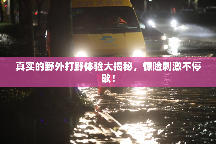真实的野外打野体验大揭秘，惊险刺激不停歇！