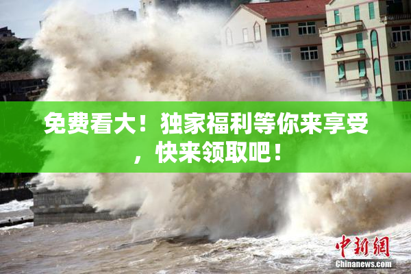 免费看大！独家福利等你来享受，快来领取吧！