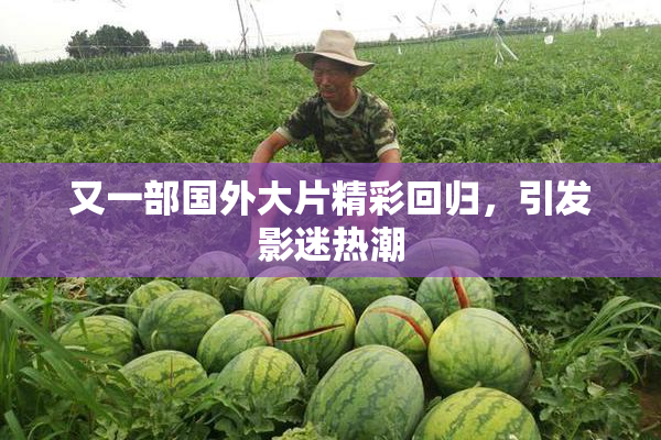 又一部国外大片精彩回归，引发影迷热潮