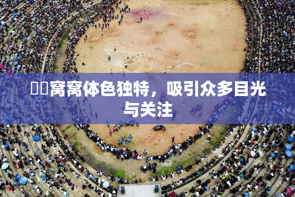 妺妺窝窝体色独特，吸引众多目光与关注